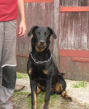 Boulade Hervé image 3