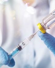 Dojcinovic Ivan Bild 2