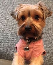 Copeland Insurance Agency, Inc. image 5