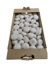 MES FRESC QUE MAI S.L. imagen 3