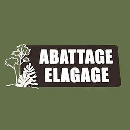 ABATTAGE ELAGAGE CHAUVEAU