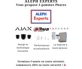 Aleph Experts Concept Sécurité image 7