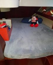 AUSTER SAILORS imagen 5