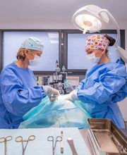 Clinique vétérinaire de la ruche - Anneyron - Sevetys image 7