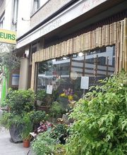 Au Flamboyant Bild 2