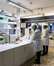 Gallery Professionale