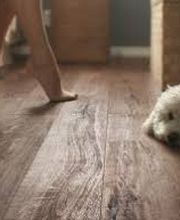 Multisols Schornoz Sàrl Bild 8