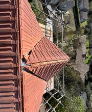 De Vecchi Patrick image 14