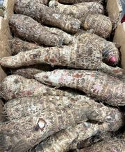 Park Hill Supermarket image 5