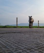 ImGEx GmbH & Co. KG Bild 10