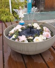 Le Ch' Ti Paradis image 11