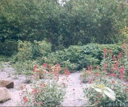 Oisejardin image 4
