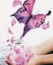 Laurence Sylvain image 4