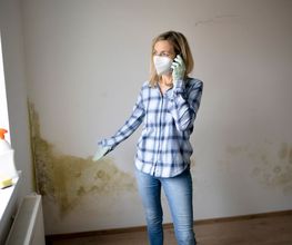 MJSV - die Bausachverständigen Bild 1