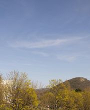 Aline Chagué Addictologie image 3