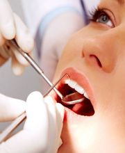 Dr. med. dent. Anja Kräuter Bild 1