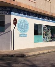 656730-clinica-veterinaria-3.jpg