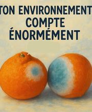 Quesnel David image 3