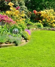 Scheidegger Ruedi Bild 1