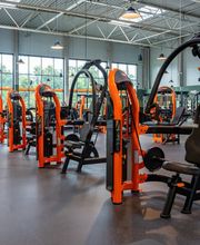 Basic-Fit 24/7 Bild 3