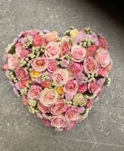 Blumen Petermann Bild 8