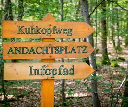 FriedWald Kirchheimbolanden Bild 6
