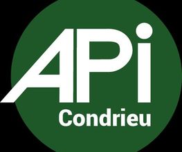 APImmobilier Condrieu image 1