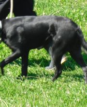 Boulade Hervé image 2