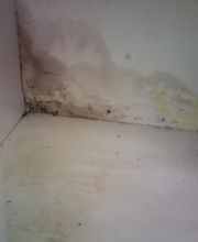 Alliance Environmental Group image 6
