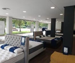 Tienda Flex by Noctalia imagen 4