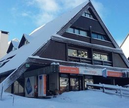 Ski Village image 1