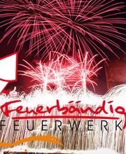 Feuerbändiger Feuerwerke Bild 1