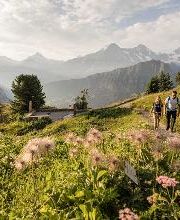 Schynige Platte - Top of Swiss Tradition Bild 6