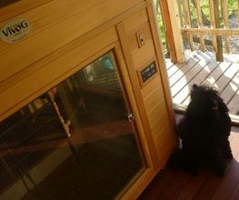 Charly'Dog image 10