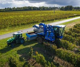 Vignobles Gabard image 7