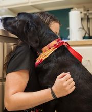 Sangaree Animal Hospital image 19