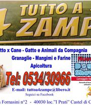 Gallery Cliente