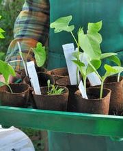 Noir jeson Espace vert LUGI image 3