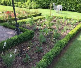 Royal Jardin sarl Bild 5