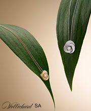 Vollichard SA Bild 4