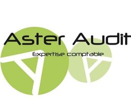 Aster Audit image 2