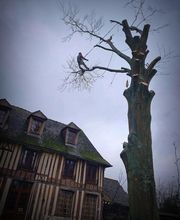 Arbor & Paysage image 13