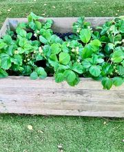 Crèche de la Providence Bild 8