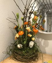 ColeDesign Colette Beer Bild 5