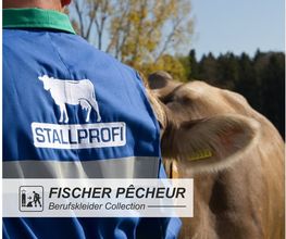 Fischer & Co AG Bild 6
