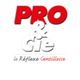 PRO&Cie - Ets Lescure Philippe