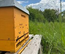 ABEX BAUNER KG Bild 2