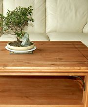 Joel Reveron image 2