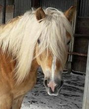 Inge Denker Bild 6