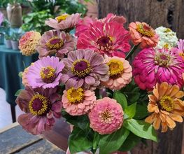 La Petite Marchande de Fleurs image 11